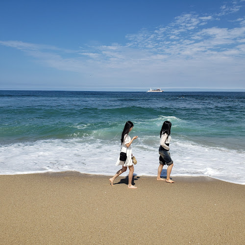 사천진해변