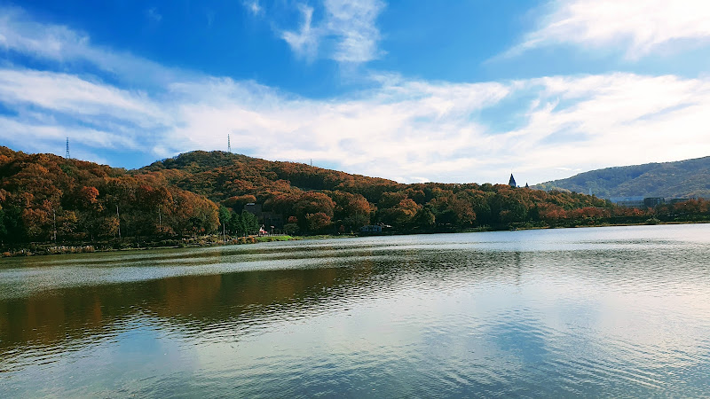 율동공원